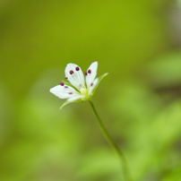 SIGMA(シグマ)のレンズ 10-20mm F3.5 EX DC HSM (シグマ用) で撮影した