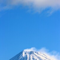 ❣美しい背景ボケ❣EF-S 55-250mm IS❣大人気望遠レンズ❣ Amazon.co.jp: EF-S55-250mm F4-5.6 IS STM : 家電＆カメラ