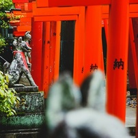 SONY(ソニー)のレンズ Vario-Sonnar T＊ DT 16-80mm F3.5-4.5 ZA