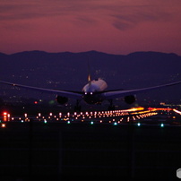 KONICA MINOLTA(コニカミノルタ)のレンズ AF 135mm F2.8 で撮影した