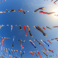 SAMYANG(サムヤン)のレンズ 8mm F3.5 FISH-EYE LENS [キヤノン用