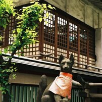 PENTAX(ペンタックス)のフィルムカメラASAHI PENTAX SV で撮影した写真