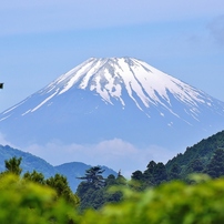 富士箱根の旅14