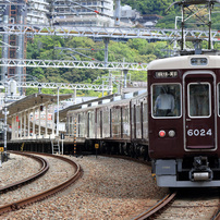 CANON(キヤノン)のレンズ EF-S55-250mm F4-5.6 IS II で撮影した