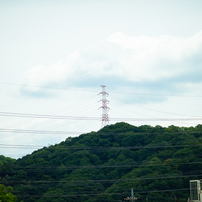 photo_12976618