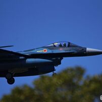 SIGMA(シグマ)のレンズ APO 50-500mm F4.5-6.3 DG OS HSM