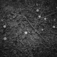 photo_12980149