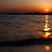 CANON(キヤノン)のレンズ EF50mm F1.2L USM で撮影した写真(画像