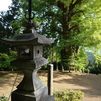 PANASONIC(パナソニック)のミラーレス一眼LUMIX DMC-GF3 で撮影した