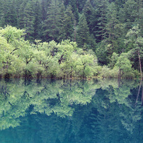 FUJIFILM(富士フイルム)のデジタルカメラFinePix F810 で撮影した写真