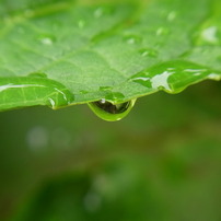 雨上がり