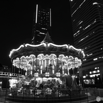 OLYMPUS(オリンパス)のレンズ M.ZUIKO DIGITAL ED 12mm F2.0