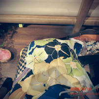 CASIO(カシオ)のデジタルカメラHIGH SPEED EXILIM EX-ZR1700 で撮影