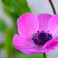 キャノン Canon EOS 40D【作例あり】 EOS 40Dで撮影された写真 | 写真検索 | GANREF