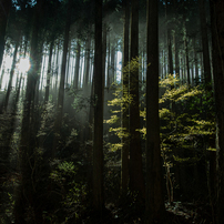 風景写真などにオススメの超広角⭐︎ シグマ 10-20mm F3.5 Nikon用 Amazon.co.jp: シグマ(Sigma) SIGMA 超広角ズームレンズ 10-20mm