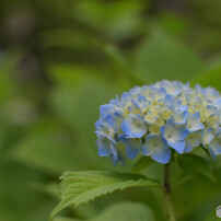 Nikon AF-S NIKKOR 35mm f/1.8G EDを徹底解説。作例からレビュー