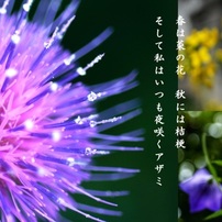 ❤️エモ写に❤️Nikon 18-200mm フィルム風描写✨ AF-S DX NIKKOR 18-200mm f/3.5-5.6G ED VR IIで撮影された写真