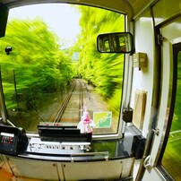SONY(ソニー)のレンズ E16mm F2.8 SEL16F28 で撮影した写真(画像