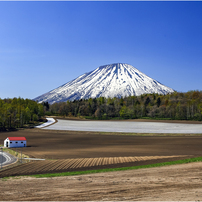 Canon - ★作例付き★ CANON EF28-70mm F2.8L USM Canon - ☆作例付き☆ CANON EF28-70mm F2.8L USMの通販 by