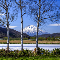 CANON(キヤノン)のレンズ EF28-70mm F2.8L USM で撮影した写真