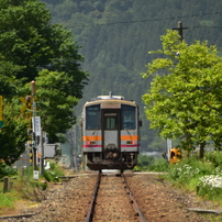 【作例有】ニコンAF-P DX 70-300mm f4.5-6.3G VR 美品 Nikon AF-P DX NIKKOR 70-300mm f/4.5-6.3G ED VRを徹底解説
