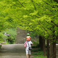 Mt.Rokko