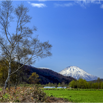 EF 28-70F2.8L USM 作例あり CANON EF28-70mm F2.8L USM投稿画像・動画 (レビュー) - 価格.com