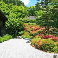 CANON(キヤノン)のデジタル一眼EOS 30D で撮影した写真(画像