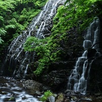 NIKON(ニコン)のデジタル一眼D750 で撮影した写真(画像)一覧