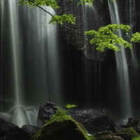 OLYMPUS(オリンパス)のレンズ M.ZUIKO DIGITAL ED 14-150mm F4.0