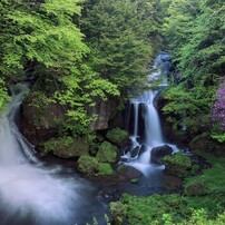 Canon - ★作例付き★ CANON EF28-70mm F2.8L USM Canon - ☆作例付き☆ CANON EF28-70mm F2.8L USMの通販 by