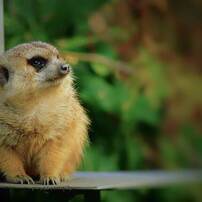 PENTAX(ペンタックス)のデジタル一眼PENTAX K100D で撮影した