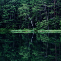 緑の鏡