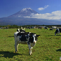 富士山-4（旅のこと）