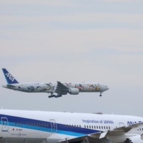 Canon EF70-300mm f4-5.6L IS USM【作例あり】 EF70-300mm F4-5.6 IS II USMで撮影された写真 | 写真検索 | GANREF
