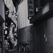 NIKON(ニコン)のデジタル一眼D3000 で撮影した写真(画像)一覧