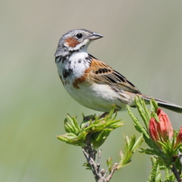 OLYMPUS(オリンパス)のレンズ M.ZUIKO DIGITAL ED 150-400mm F4.5 TC1