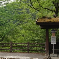 白骨温泉のバス停