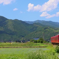 Canon EF70-300mm f4-5.6L IS USM【作例あり】 EF70-300mm F4-5.6 IS USMで撮影された写真 | 写真検索 | GANREF
