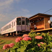 CANON(キヤノン)のレンズ EF-S18-200mm F3.5-5.6 IS で撮影した
