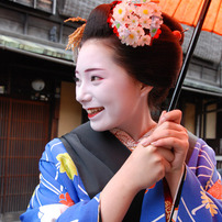 １１．日本の文化