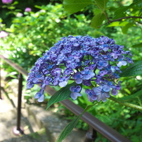 タムロン SP AF 10-24/3.5-4.5 Di II：2592821 タムロン SP AF 10-24/3.5-4.5 Di II LD Aspherical [ニコン] B001