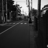 COSINA(コシナ)のレンズ フォクトレンダー COLOR SKOPAR 50mm F2.5