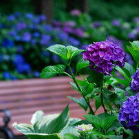 CANON(キヤノン)のレンズ EF100-400mm F4.5-5.6L IS II USM で