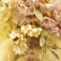 春の花撮影に最適！Nikon AF-S DX micro 40mm f/2.8G Nikon AF-S DX Micro NIKKOR 40mm f/2.8Gを徹底解説。作例から
