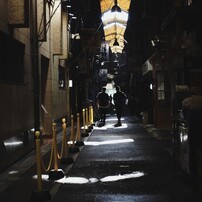 NIKON(ニコン)のデジタル一眼D3000 で撮影した写真(画像)一覧
