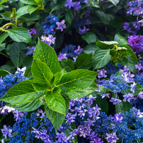 【作例】SONY SEL1635Z FE 16-35mm F4 ZA OS SONY Vario-Tessar T* FE 16-35mm F4 ZA OSS SEL1635Z投稿画像