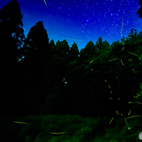 作例あり　Ai-s Nikkor 18mm f3.5 作例あり Ai-s Nikkor 18mm f3.5