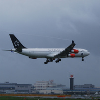 NIKON(ニコン)のデジタル一眼D40x で撮影した写真(画像)一覧- 写真共有