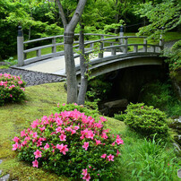 箱根美術館神仙郷-5（苔と森のこと）